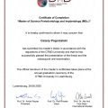 Powiększ obraz: certificate 34