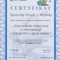 Powiększ obraz: certificate 32