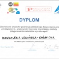 Powiększ obraz: certificate 9