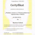 Powiększ obraz: certificate 26