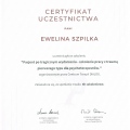 Powiększ obraz: certificate 34