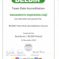 Powiększ obraz: certificate 2