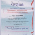 Powiększ obraz: certificate 1