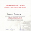 Powiększ obraz: certificate 9