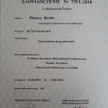 Powiększ obraz: certificate 1
