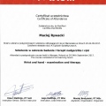 Powiększ obraz: certificate 7