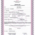 Powiększ obraz: certificate 2