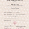 Powiększ obraz: certificate 8