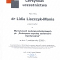 Powiększ obraz: certificate 1