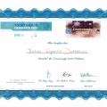 Powiększ obraz: certificate 20