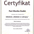 Powiększ obraz: certificate 4