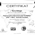 Powiększ obraz: certificate 7