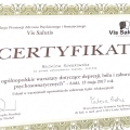 Powiększ obraz: certificate 3