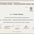 Powiększ obraz: certificate 80