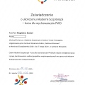 Powiększ obraz: certificate 8