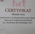 Powiększ obraz: certificate 10