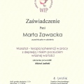 Powiększ obraz: certificate 11
