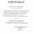 Powiększ obraz: certificate 2