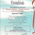 Powiększ obraz: certificate 3