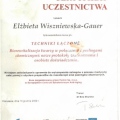 Powiększ obraz: certificate 6