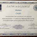 Powiększ obraz: certificate 43