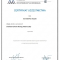 Powiększ obraz: certificate 25