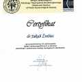 Powiększ obraz: certificate 1
