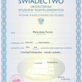 Powiększ obraz: certificate 9