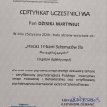 Powiększ obraz: certificate 4