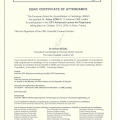 Powiększ obraz: certificate 6