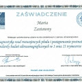 Powiększ obraz: certificate 1