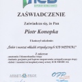 Powiększ obraz: certificate 26