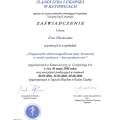 Powiększ obraz: certificate 3