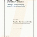 Powiększ obraz: certificate 19