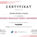 Powiększ obraz: certificate 4