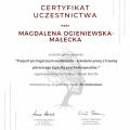 Powiększ obraz: certificate 9