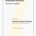 Powiększ obraz: certificate 31