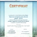 Powiększ obraz: certificate 9