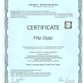 Powiększ obraz: certificate 2
