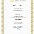Powiększ obraz: certificate 5