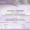 Powiększ obraz: certificate 9