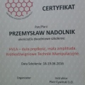 Powiększ obraz: certificate 8