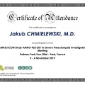 Powiększ obraz: certificate 5