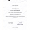 Powiększ obraz: certificate 9
