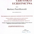 Powiększ obraz: certificate 31