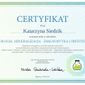 Powiększ obraz: certificate 36