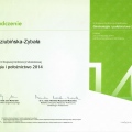 Powiększ obraz: certificate 11