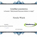Powiększ obraz: certificate 19