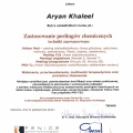 Powiększ obraz: certificate 33
