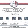 Powiększ obraz: certificate 4
